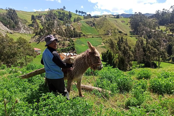 Devil'S Nose Hiking and Ingapirca Ruins From Cuenca - About Your Stay