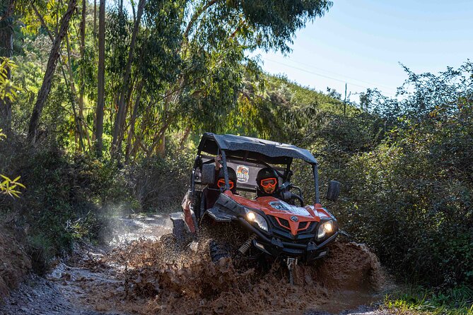 Dirt & Dust Paradise Buggy Day Tour at Silves Portugal - Overview of the Tour