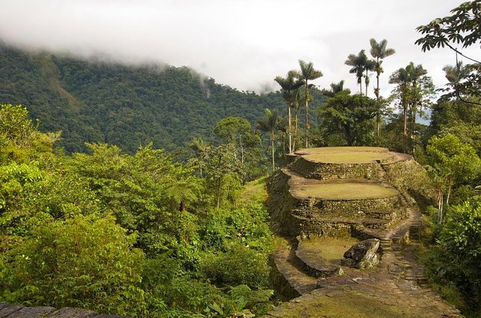 Discover Lost City: 4-Day Hike in Santa Marta - About Your Stay
