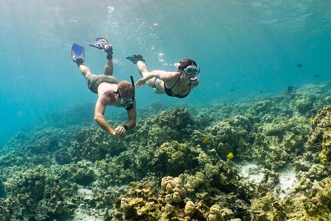 Discover Pawai Afternoon Reef Snorkel - About Your Stay