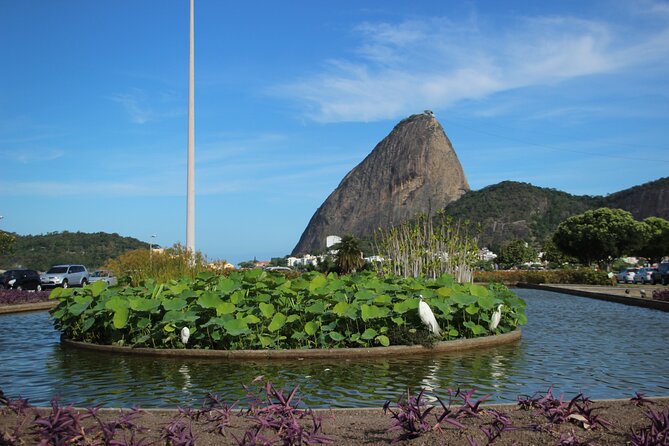 Discover Rio Highlights: Christ Redeemer and Sugar Loaf - About Your Stay
