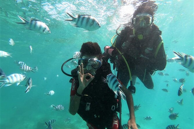 Discover Scuba Diving in Mauritius - Good To Know