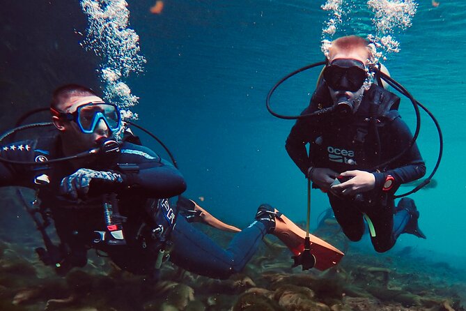 Discover Scuba Diving On The Beautiful Rainbow River - Good To Know