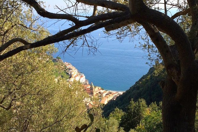 Discovering Amalfi Coast via Amalfi - Pogerola by Walking - Key Points