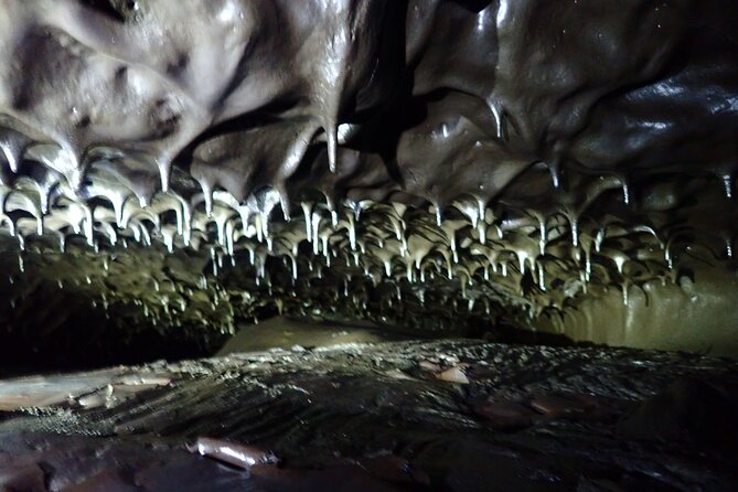 Discovery of the 2004 Coulées Tunnel in Sainte-Rose - Good To Know