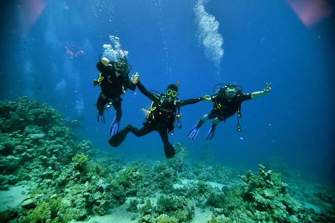 Diving And Snorkeling To Ras Mohamed And White Island By VIP Boat - Good To Know