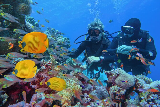 Diving and Visiting Giftun Island With Snorkeling Boat Trip - Good To Know