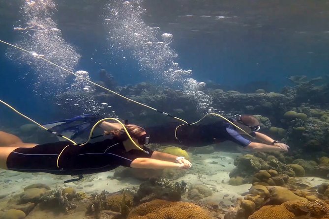 Diving Without Tanks on Your Back! - Key Points