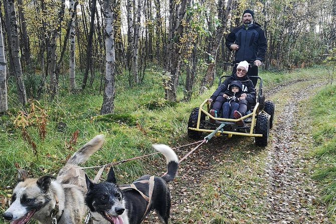 Dog Driving With Dog Carriage in the Alta Valley Along the Famous Salmon River - Good To Know