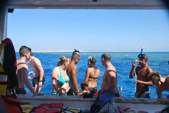 Dolphin House Sea Trip - Key Points
