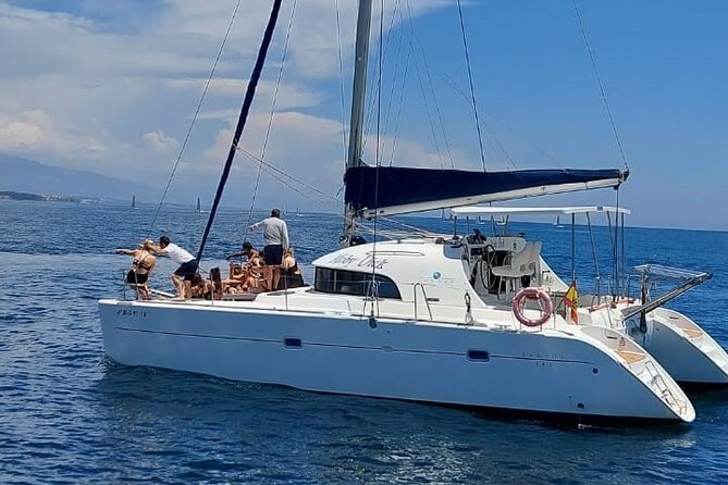 Dolphin Trips on a Catamaran - Good To Know