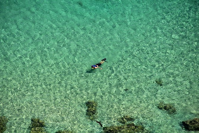 Dolphin Viewpoint Trail - About Your Stay