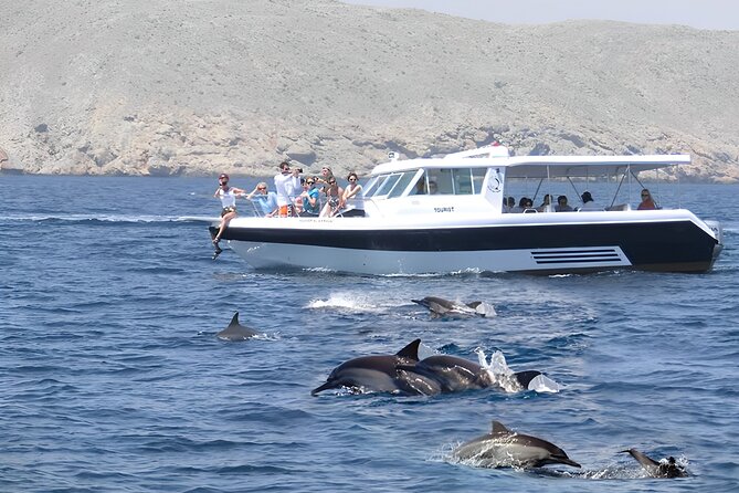 Dolphin Watching and Snorkeling Activity in Muscat - Good To Know