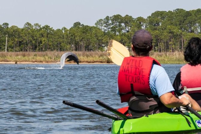 Dolphins and Wildlife Kayak Experience From Gulf Shores - Good To Know