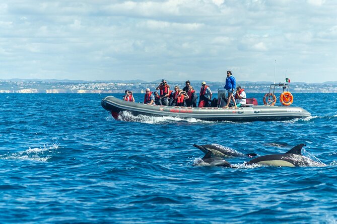 Dolphins & Caves on Rib Boat - Good To Know