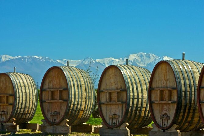 Domaine Bousquet Winery Tour With Horseback Riding and Lunch