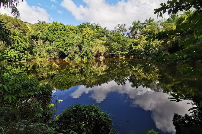 Dominican FLAVOR & COUNTRYSIDE SAFARI Pick-up Included - Key Points