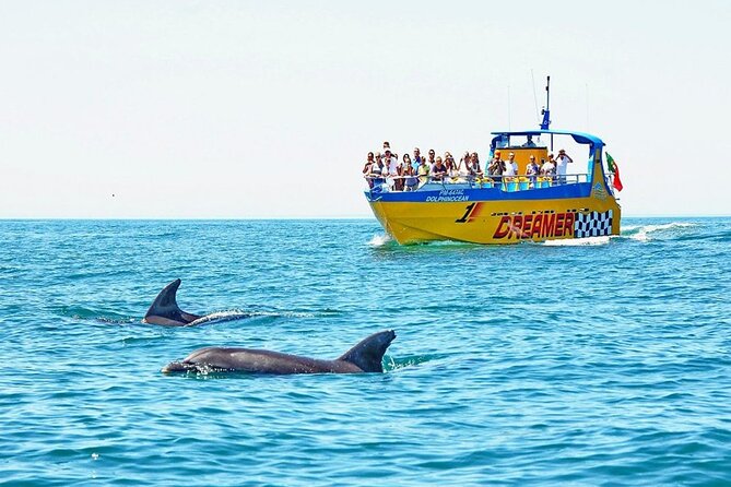 Dreamer Cave and Dolphins Boat Tour Ticket Albufeira - Good To Know