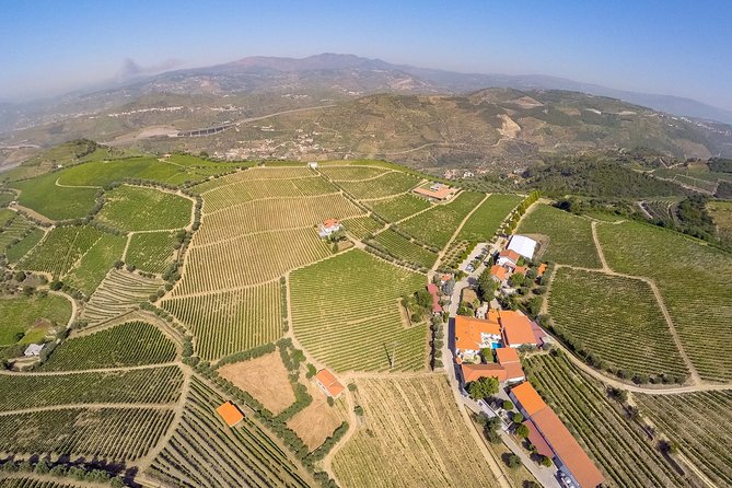Driver With Private Vehicle in the Douro Valley - Overview of Transportation Options