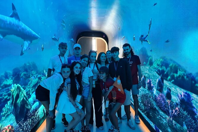 Dubai Aquarium And Underwater Zoo Tickets At Dubai Mall - Good To Know