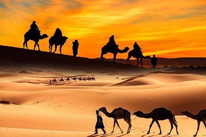 Dubai Desert 4x4 Safari, ATV Quad Bike 30 Mins, BBQ, Shows - Good To Know