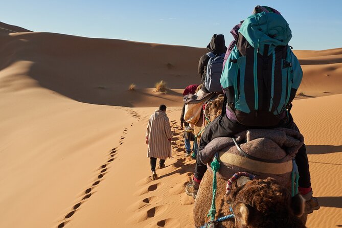 Dubai Desert Safari: Premium Adventure ,Camel Riding & Live Shows - Good To Know