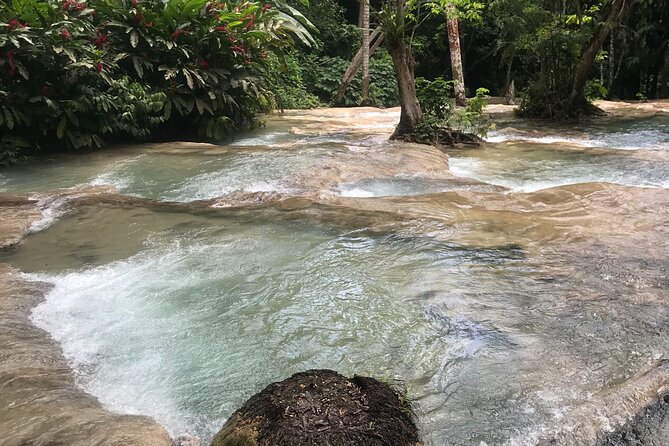 Dunns River Falls and Bluehole Private Tour - Tour Overview