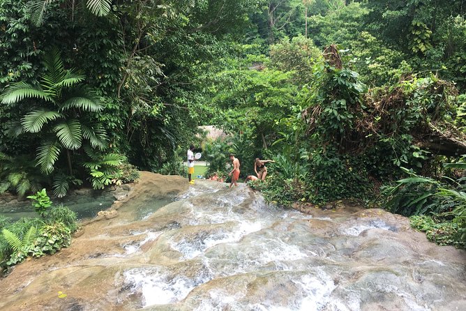 Dunn's River Falls & Horse Back Riding Transportation Only - Overview and Activities