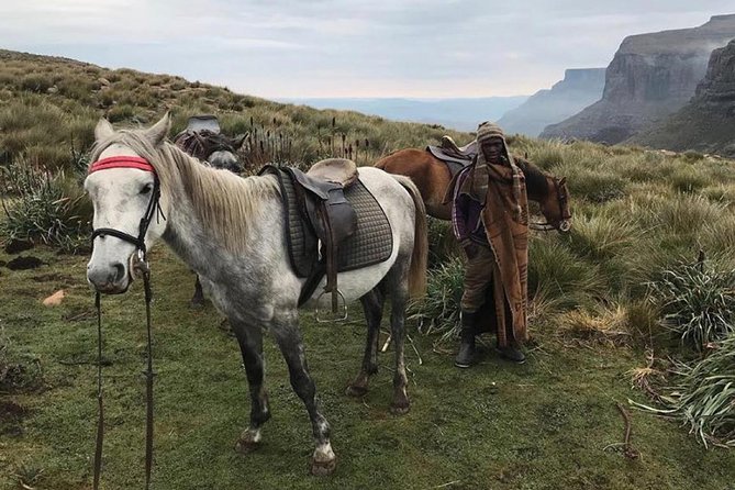 Durban: Journey Along the Epic Sani Pass & Lesotho Tour - Good To Know