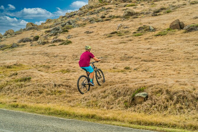 E-Bike Rental From Cruise Ship Terminal - Overview and Booking Details