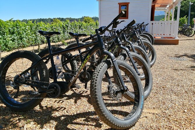 E-Bike Wine Tour Stellenbosch (Half Day) - Good To Know