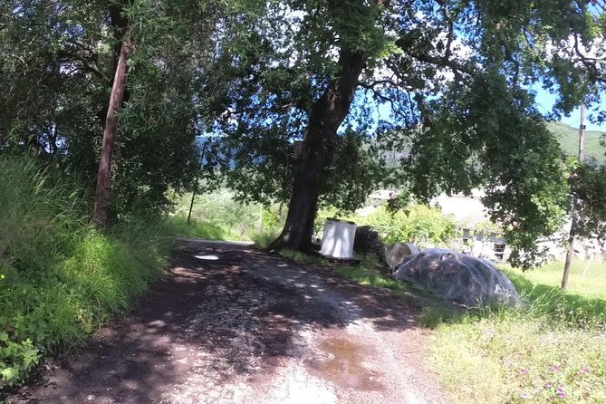 E-Mtb Tour - Analipsis Area [42km - 26mi] - Tour Overview