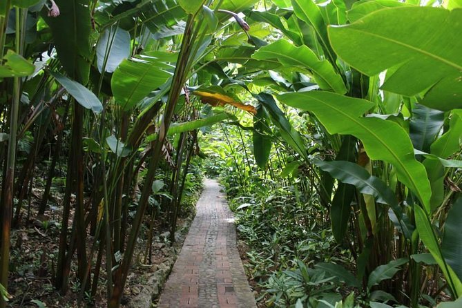 Easy Hike With Relaxing Garden Tour and Delicious Lunch - Good To Know