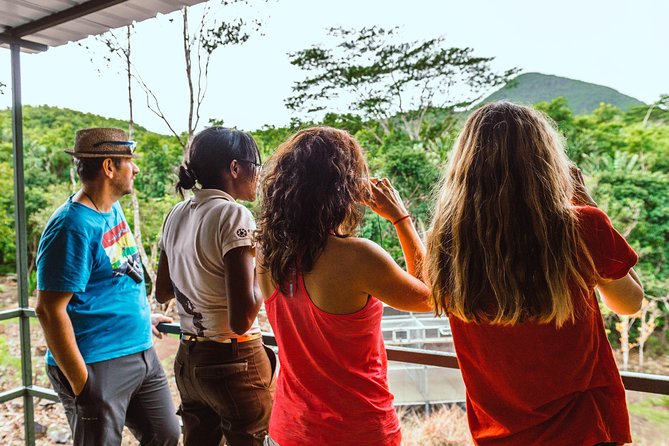 Ebony Forest Reserve Chamarel: Endemic Birdwatching Guided Tour - Good To Know