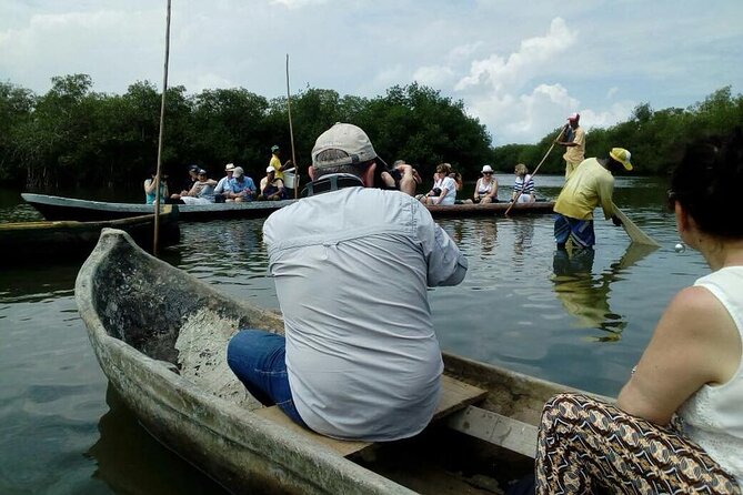 Ecological Route by Lever Canoe With Artisanal Fishing Show - About Your Stay