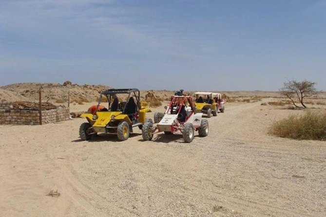 El Gouna Sahara Dune Buggy Morning Adventure - Good To Know