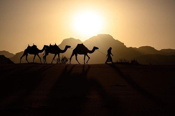 Elite Transfers : Queen Alia Airport to Any Destination in Jordan - Good To Know