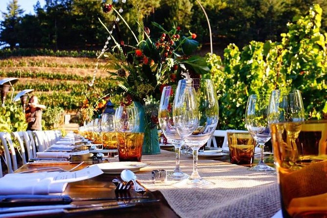 Enjoy a Meal With Wine Tasting in the Vineyard of Podere Casanova - Good To Know