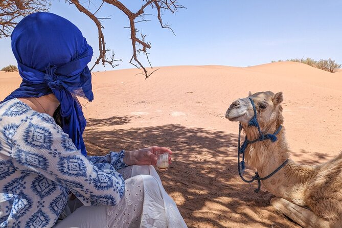 Erg Chigaga Desert Tour From Mhamid by 4x4 Morocco Sahara Dunes - Overview of the Erg Chigaga Tour