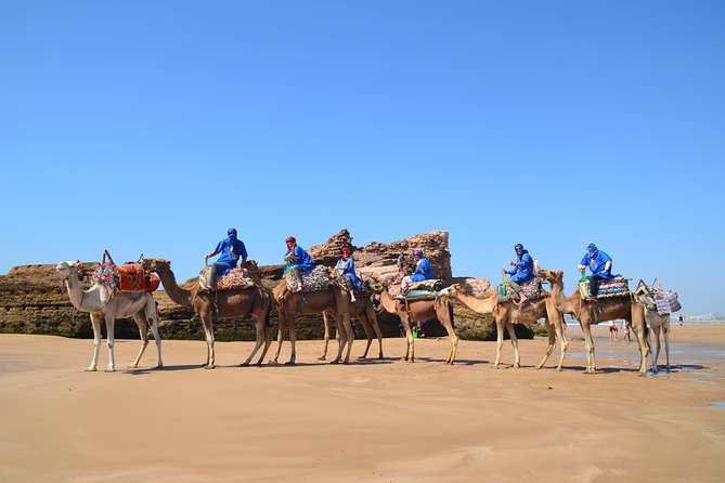 Essaouira: 1/2 Day Camel Ride With Meal. - Overview of the Activity