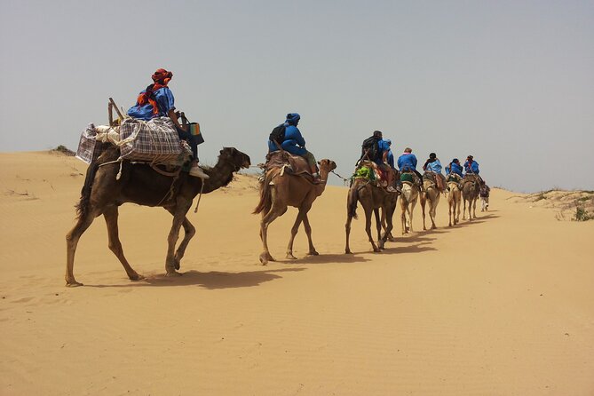 Essaouira: 3-Hour Camel Tour - Good To Know