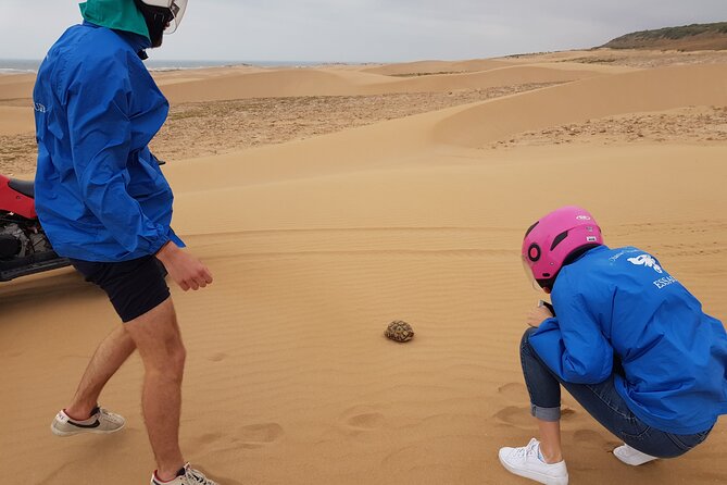 Essaouira: 3-Hour Quad Ride (Free Transfer). - Good To Know