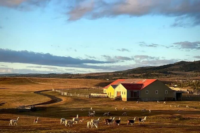 Estancia, From the Commune of Laguna Blanca - About Your Stay