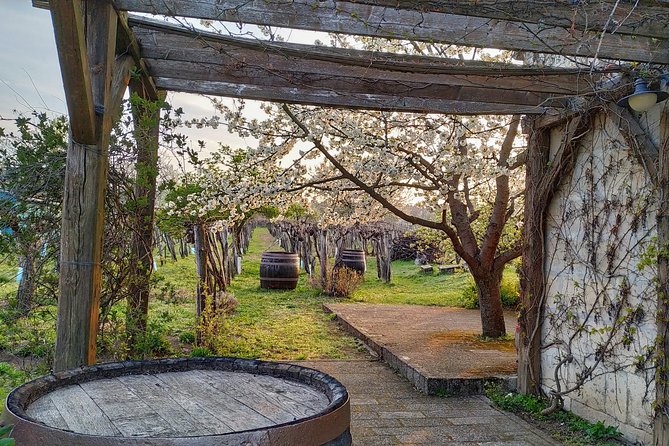 ETYEK Wine Trip - Just a Stone'S Throw Away From Budapest - Key Points