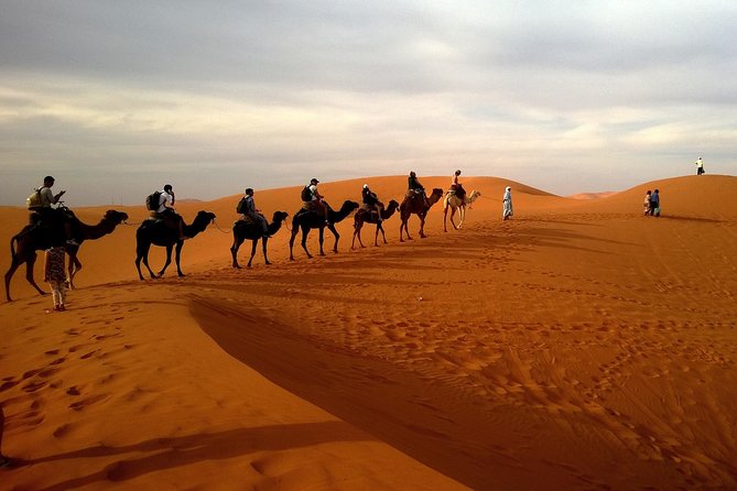 Evening Desert Safari With BBQ Dinner(Pvt) - Good To Know