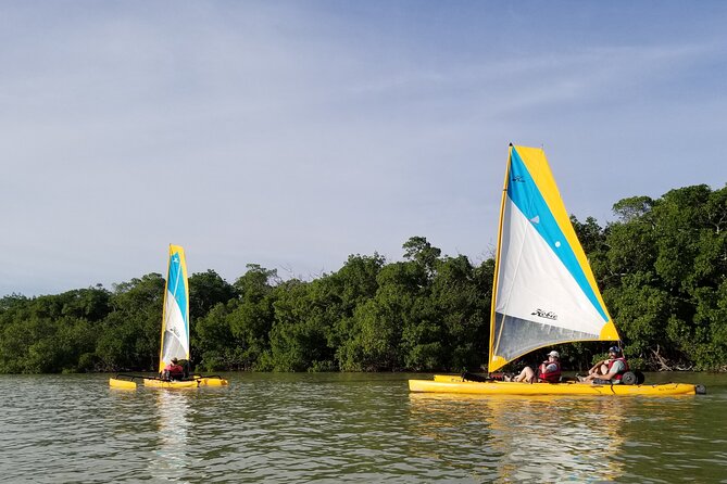 Everglades National Park Kayak/Learn to Sail Tour - Good To Know