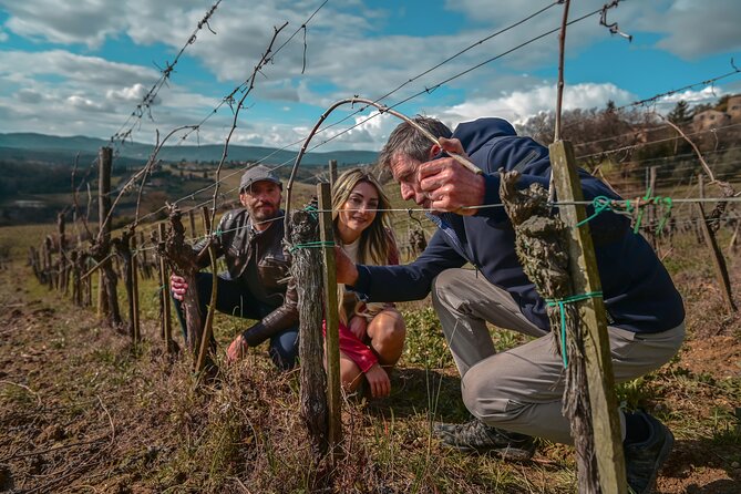 Exclusive Wine Tour and Tasting Experience Review - Key Points