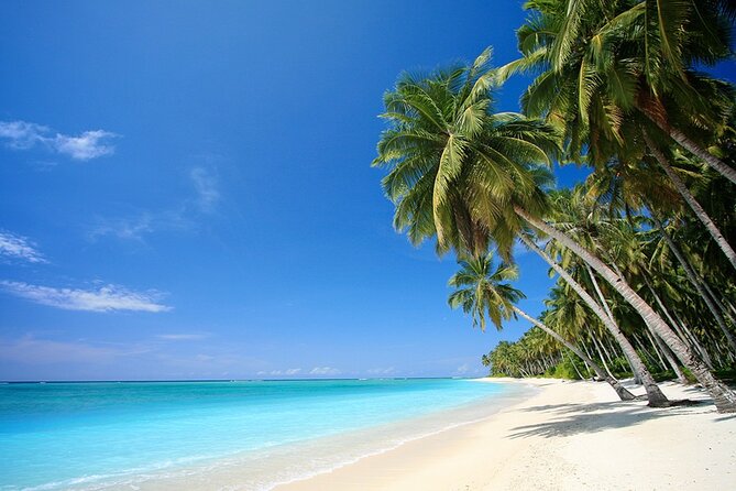 Exclusive Yacht Rental in Punta Cana - Included Services