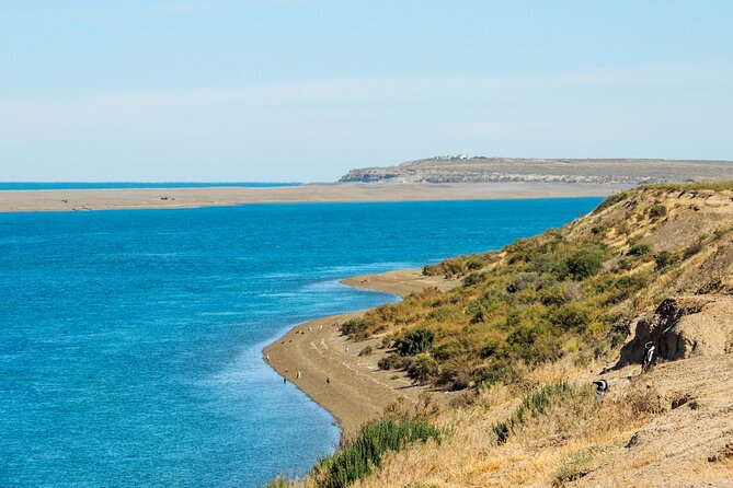 Excursion to the Valdés Peninsula From Puerto Madryn - About Your Stay