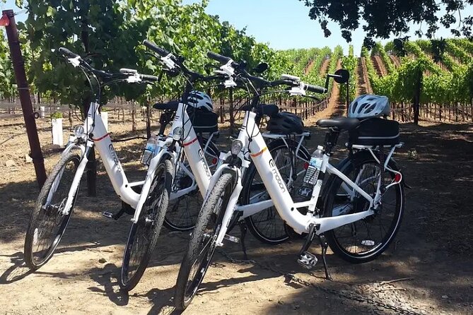 Experience E-Bike With Wine Tasting Activity - Good To Know